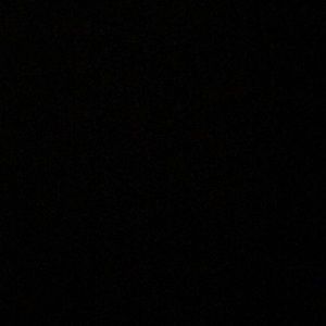 Meet your Posher, Gary